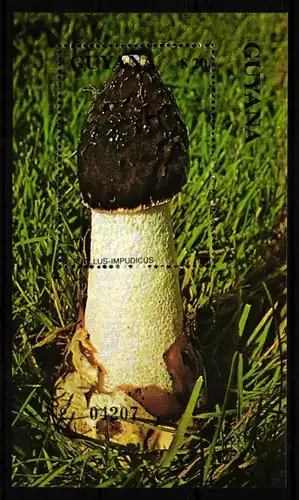 Guyana Block 105 postfrisch Pilze #HQ680