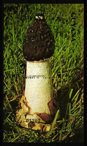 Guyana Block 105 postfrisch Pilze #HQ680