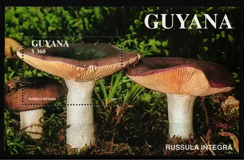 Guyana Block 142 postfrisch Pilze #HQ678