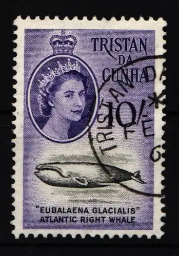 Tristan da Cunha 41 gestempelt #IA533