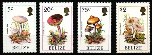 Belize 930-933 postfrisch Pilze #HQ642