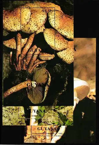 Guyana Block 107-109 postfrisch Pilze #HQ681
