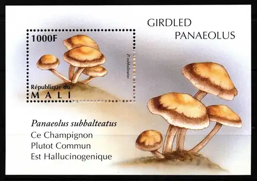 Mongolei Block 78 postfrisch Pilze #HQ715