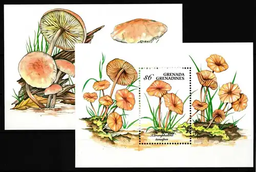 Grenada Grenadinen Block 298 und 299 postfrisch Pilze #HQ670