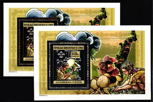 Kongo (Kinshasa) 2150 und 2152 postfrisch Einzelblöcke / Pilze #HR966