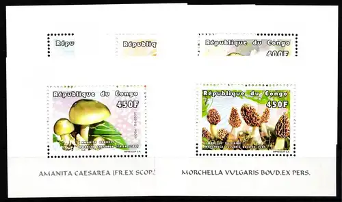 Kongo (Brazzaville) 1631-1635 postfrisch Einzelblöcke / Pilze #HR903