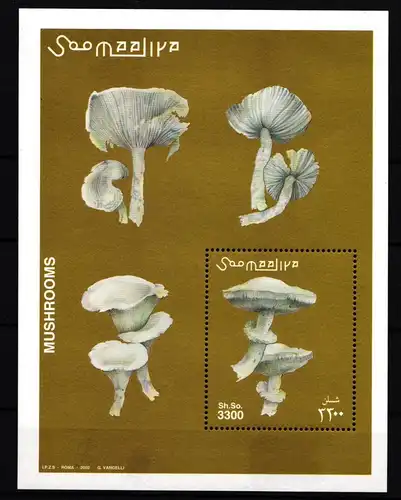 Somalia Block 94 postfrisch Pilze #HR911