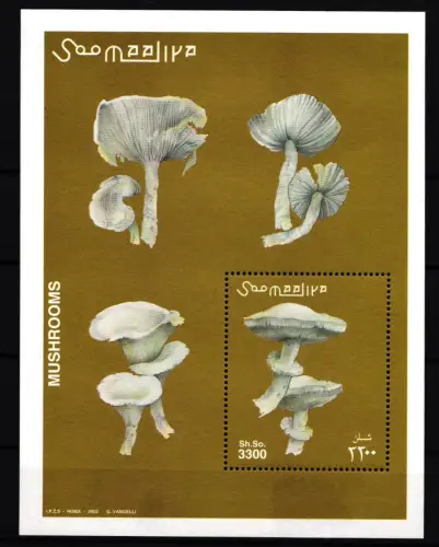 Somalia Block 94 postfrisch Pilze #HR911