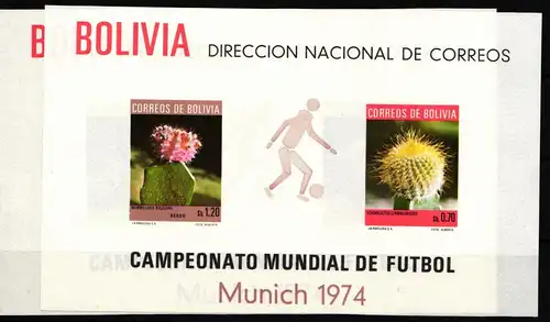 Bolivien Block 35 und 36 postfrisch Fußball #IE011