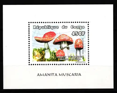 Kongo (Brazzaville) 1636 postfrisch Einzelblock / Pilze #HR940