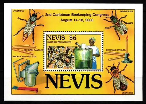 Nevis Block 77 postfrisch Schmetterling #IH086