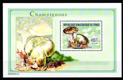 Kongo (Kinshasa) 1764 postfrisch Einzelblock / Pilze #HR904