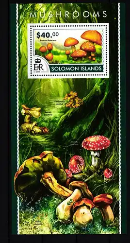 Salomon Inseln Block 401 postfrisch Pilze #HR849