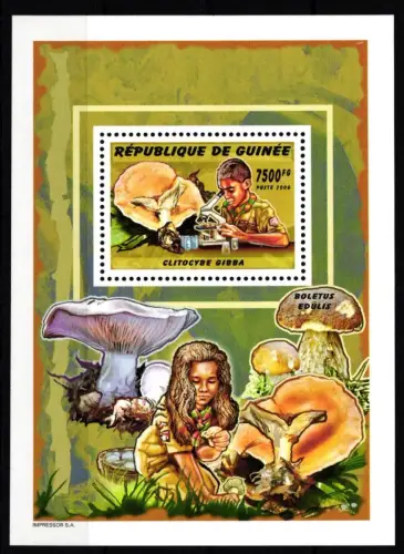 Guinea Block 973 postfrisch Pilze #HR945