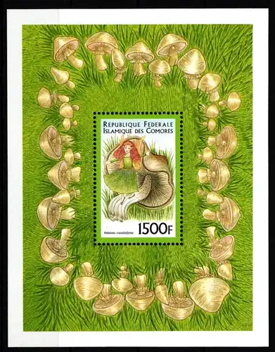 Komoren Block 418 postfrisch Pilze #HR925