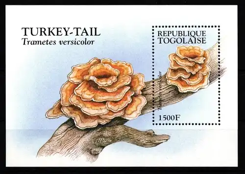 Togo Block 387 postfrisch Pilze #HR900