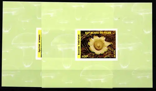 Niger 965 und 966 postfrisch Einzelblöcke / Pilze #HR967