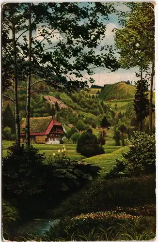AK Schwarzwald im Frühling 1924 #PN049