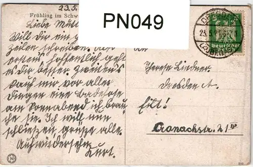 AK Schwarzwald im Frühling 1924 #PN049