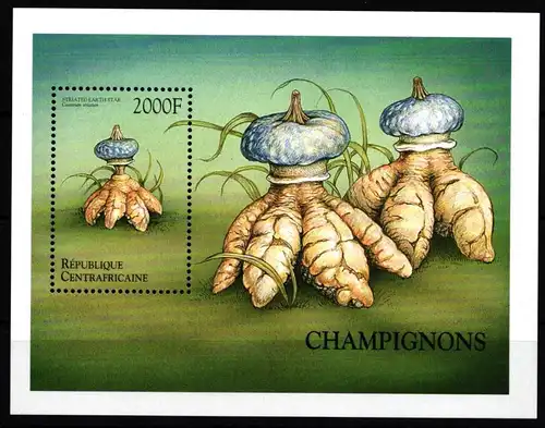 Zentralafrikanische Republik Block 627 postfrisch Pilze #HR943