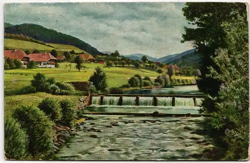 AK Schwarzwald im Frühling 1924 #PN087