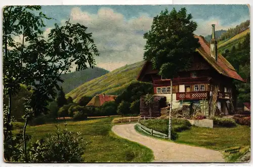AK Schwarzwald im Frühling 1924 #PN017