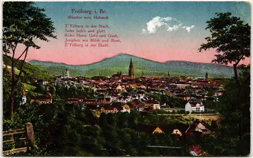 AK Freiburg i. B. Münster vom Hebsack Feldpost 1918 #PN012