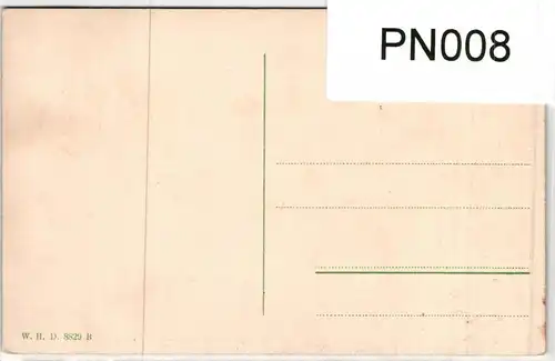 AK Egern am Tegernsee Stadtansicht #PN008