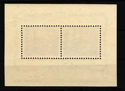 Liechtenstein Block 4 postfrisch #IL175