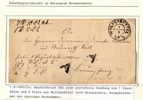 Braunschweig Paketbegleitbrief portofreie Sendung nach Wolfenbüttel #IB832