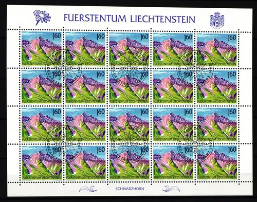 Liechtenstein 1038 gestempelt Kleinbogen mit Ersttagsstempel #IH993