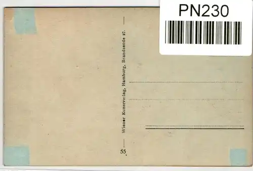 AK Hamburg Elbstimmung bei Wittenbergen #PN230