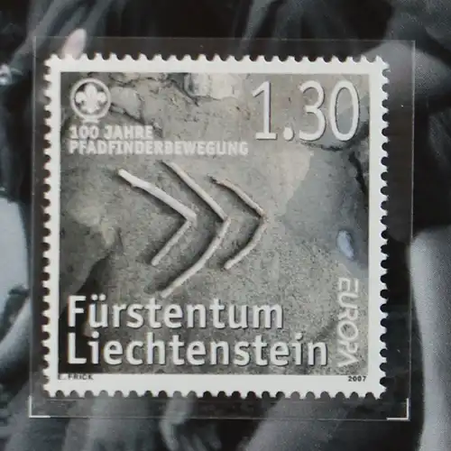 Liechtenstein Jahrbuch 2007 postfrisch #IG880