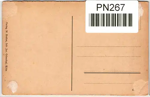 AK Bonn a. Rh. Partie mit Rheinbrücke #PN267