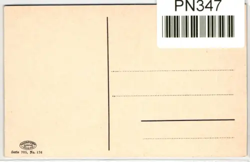 AK Mainz a. Rhein mit Raddampfer #PN347