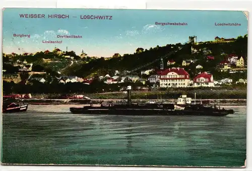 AK Loschwitz Weisser Hirsch 1922 #PN342