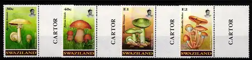 Swaziland 636-639 postfrisch Pilze #JA666