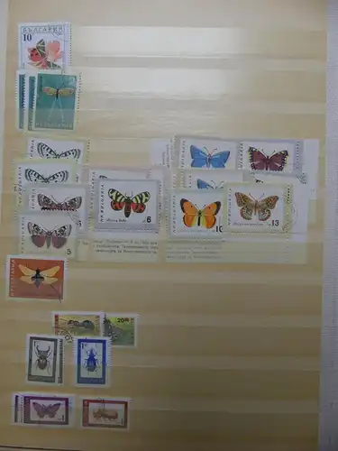 Motivsammlung Schmetterlinge und Insekten aus verschiedenen Ländern #LX541