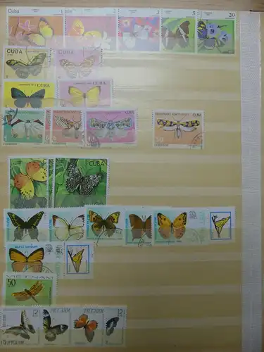 Motivsammlung Schmetterlinge und Insekten aus verschiedenen Ländern #LX541