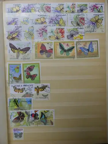 Motivsammlung Schmetterlinge und Insekten aus verschiedenen Ländern #LX541