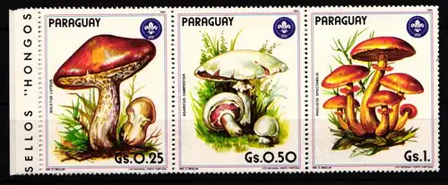 Paraguay 3835-3841 postfrisch Sechserstreifen / Pilze #JA669