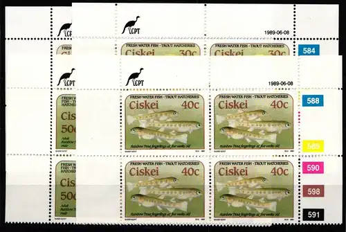 Ciskei 153-156 postfrisch als Viererblock mit Eckrand #JO546