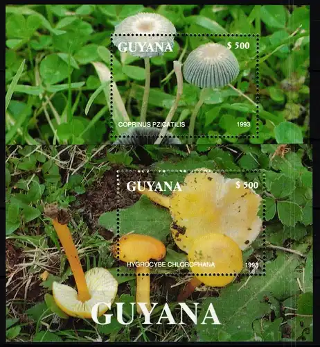 Guyana Block 271 und 272 postfrisch Pilze #JA874