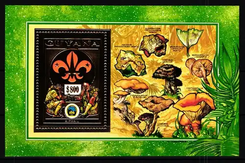 Guyana Block 236 postfrisch Pfadfinder / Goldfolie #JA876