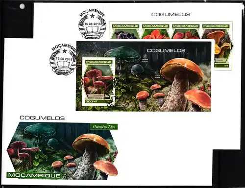 Mosambik 9754-9757 und Block 1391 gestempelt Kleinbogen als FDC / Pilze #JA907