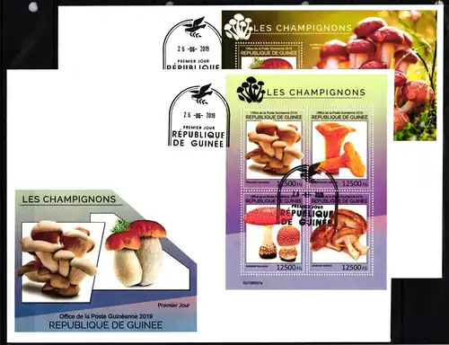 Guinea 13646-13649 und Block 3090 gestempelt Kleinbogen als FDC / Pilze #JA933