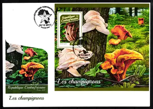 Zentralafrikanische Republik Block 1695 gestempelt als FDC / Pilze #JA940