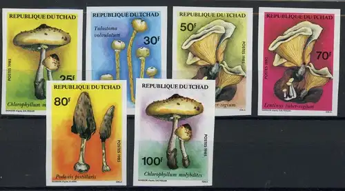 Tschad 1092-1097 B postfrisch Pilze #JO657