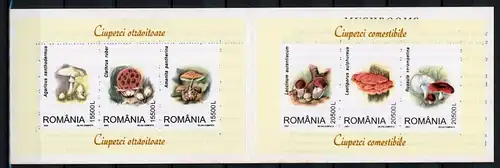 Rumänien Markenheftchen mit Block 332-333 postfrisch Pilze #JR776