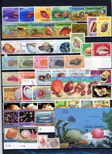 LOT "MUSCHELN" Marken/Blöcke postfrisch #JW994